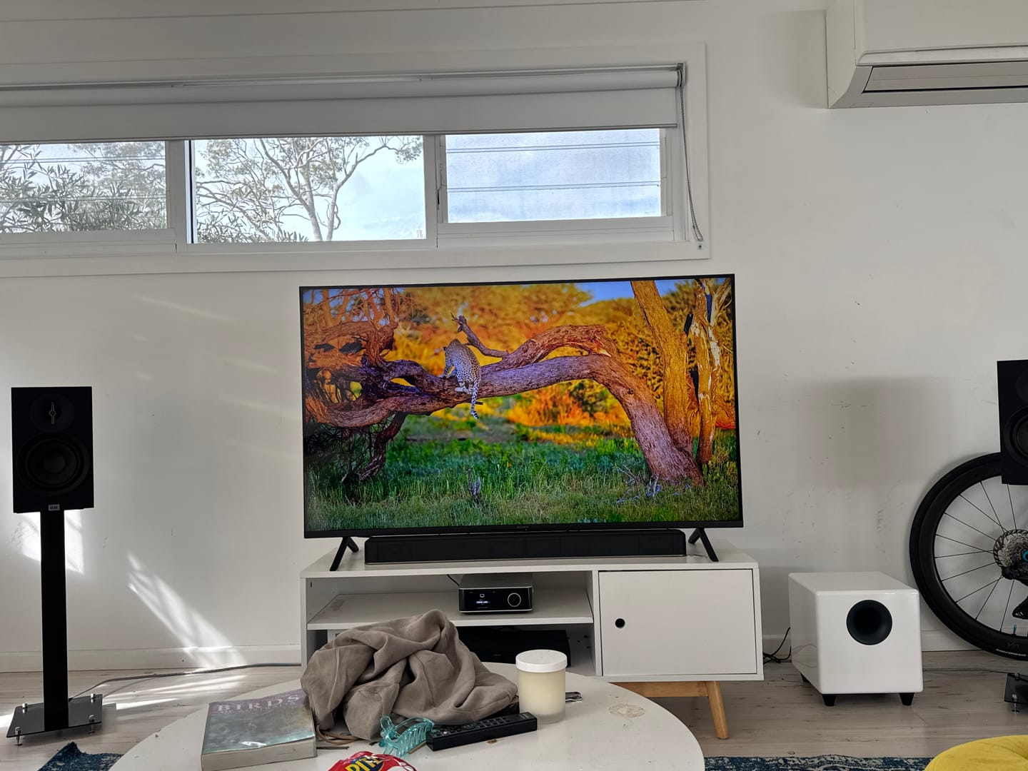 Customer photo review of TRIANGLE S02 Speaker Stand (pair)