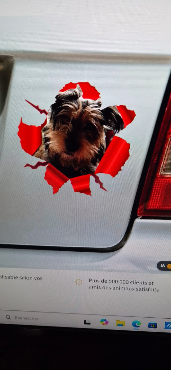 Customer photo review of Photo animal curieux - Autocollant pour voiture personnalisé