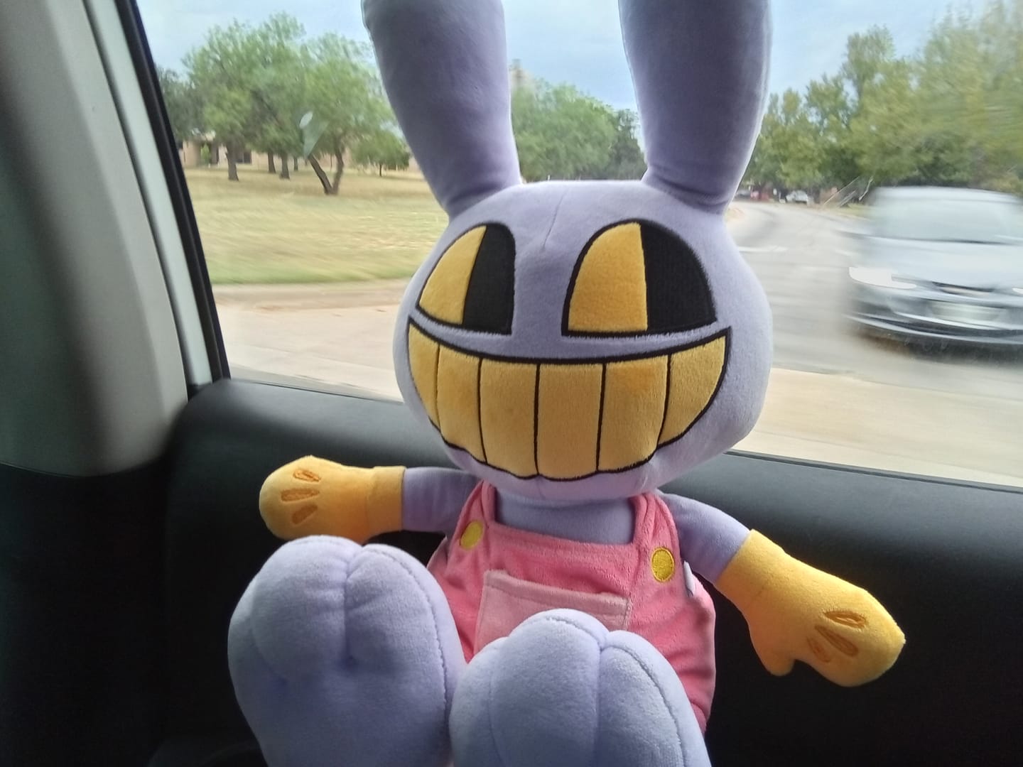 Customer photo review of Jax Plush