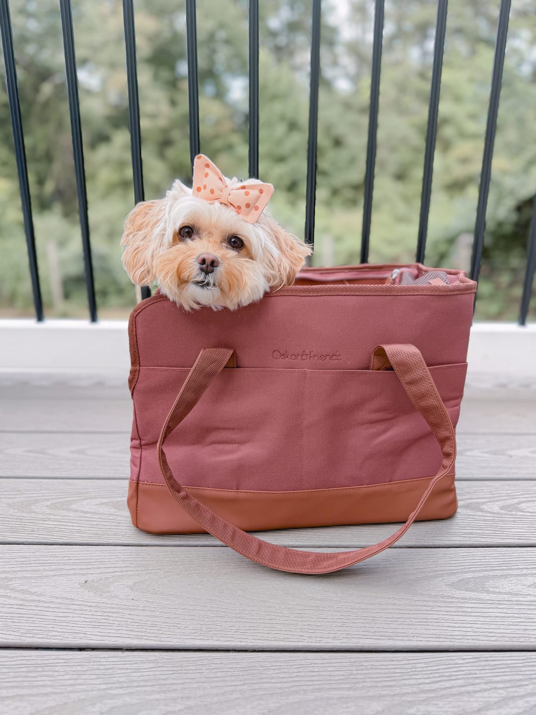 Customer photo review of Chocolate Brown Pet Tote Bag