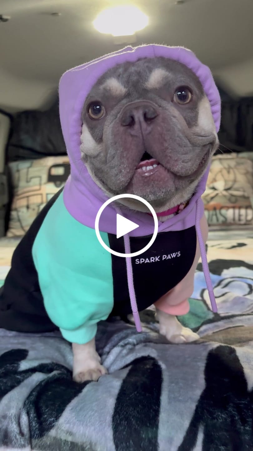 Customer video review of Cyber Punk Dog Hoodie