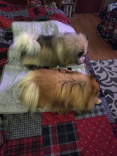 Customer photo review of Cooling Mat