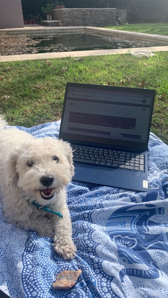 Customer photo review of Libro Mascotas Bajo Control