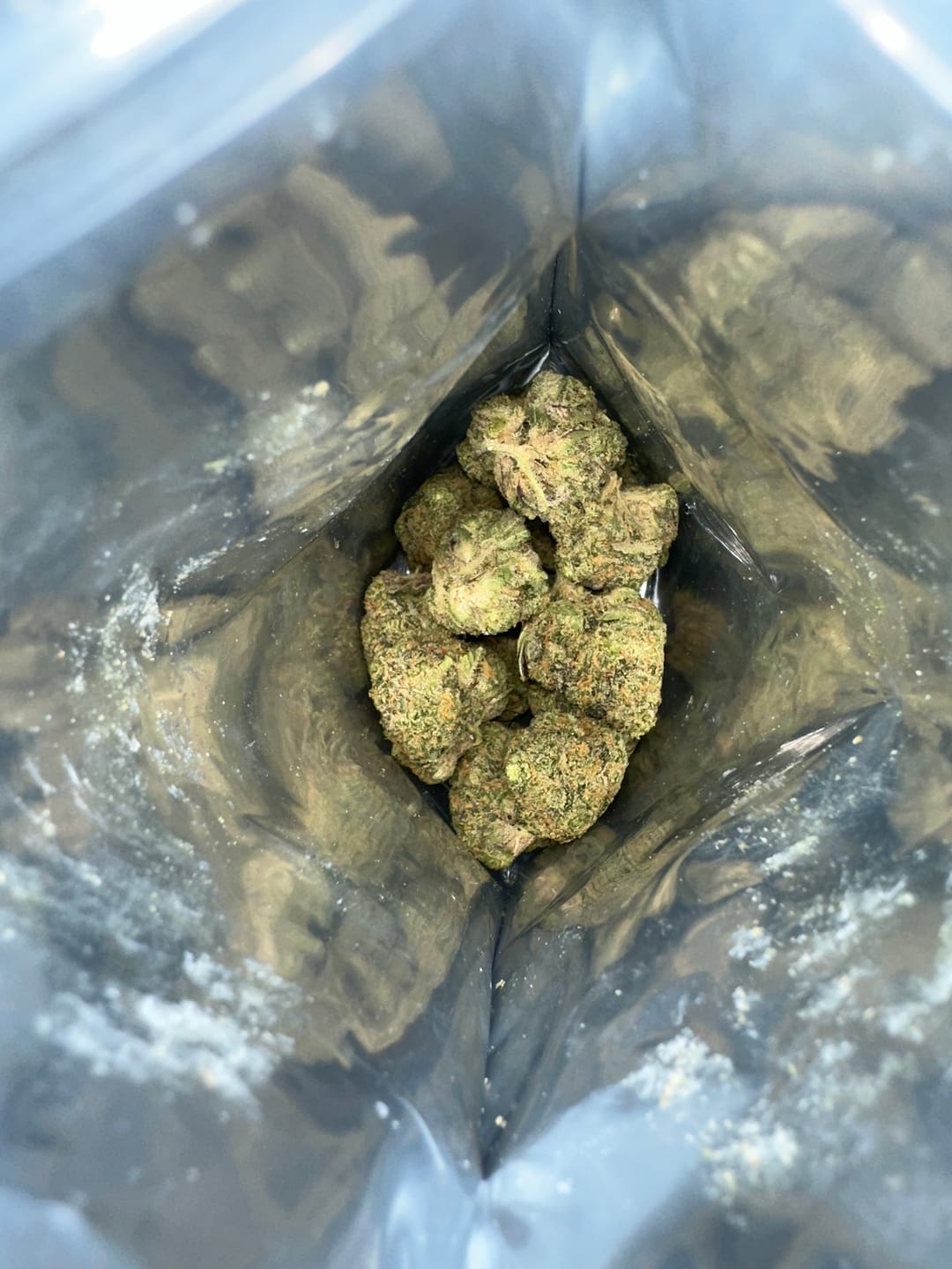 Customer photo review of Biscotti THCA Flower (Premium)