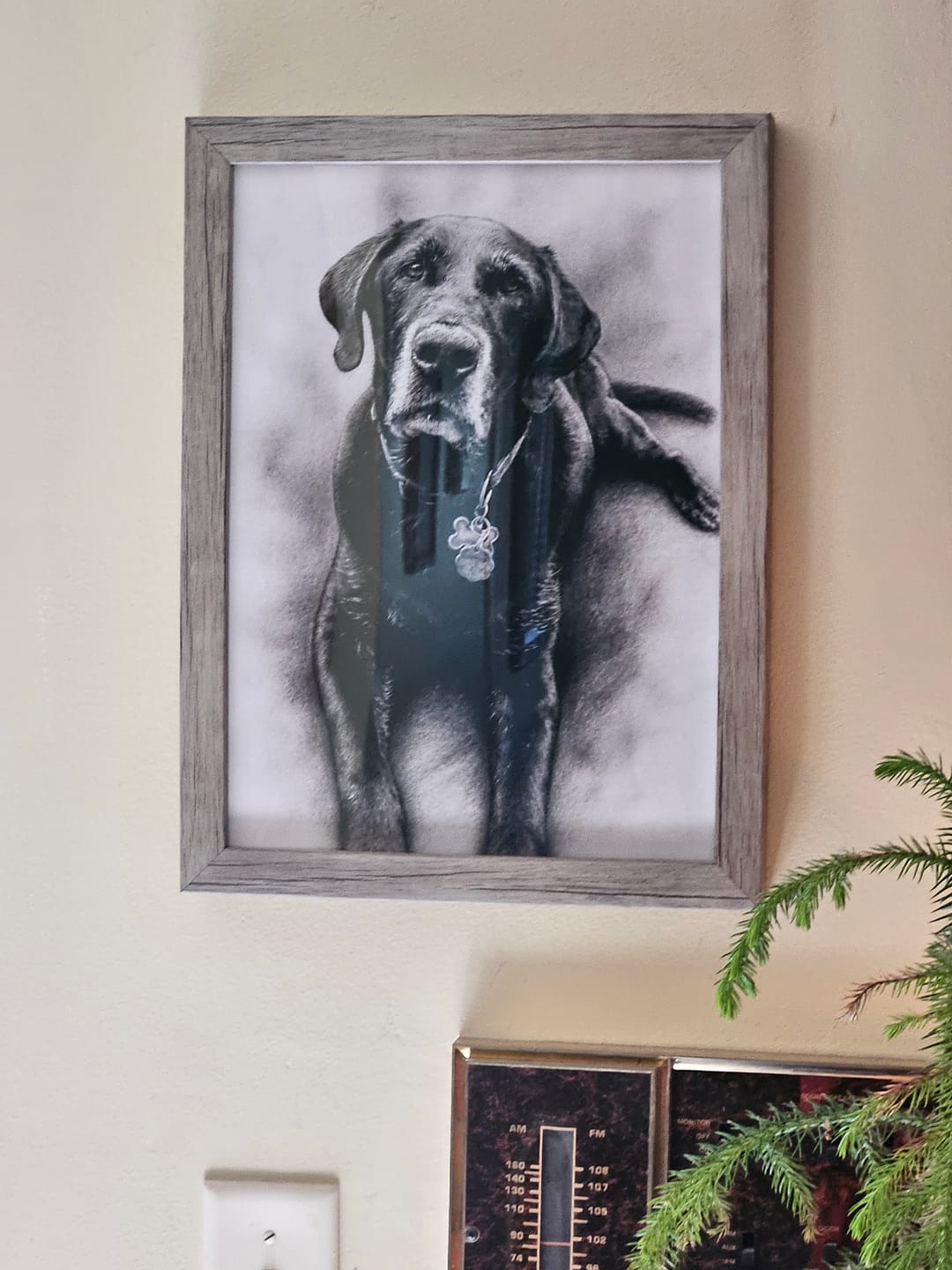 Customer photo review of Charcoal - Personalized Poster