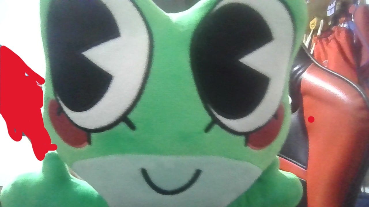 Customer photo review of Ribbit Plush