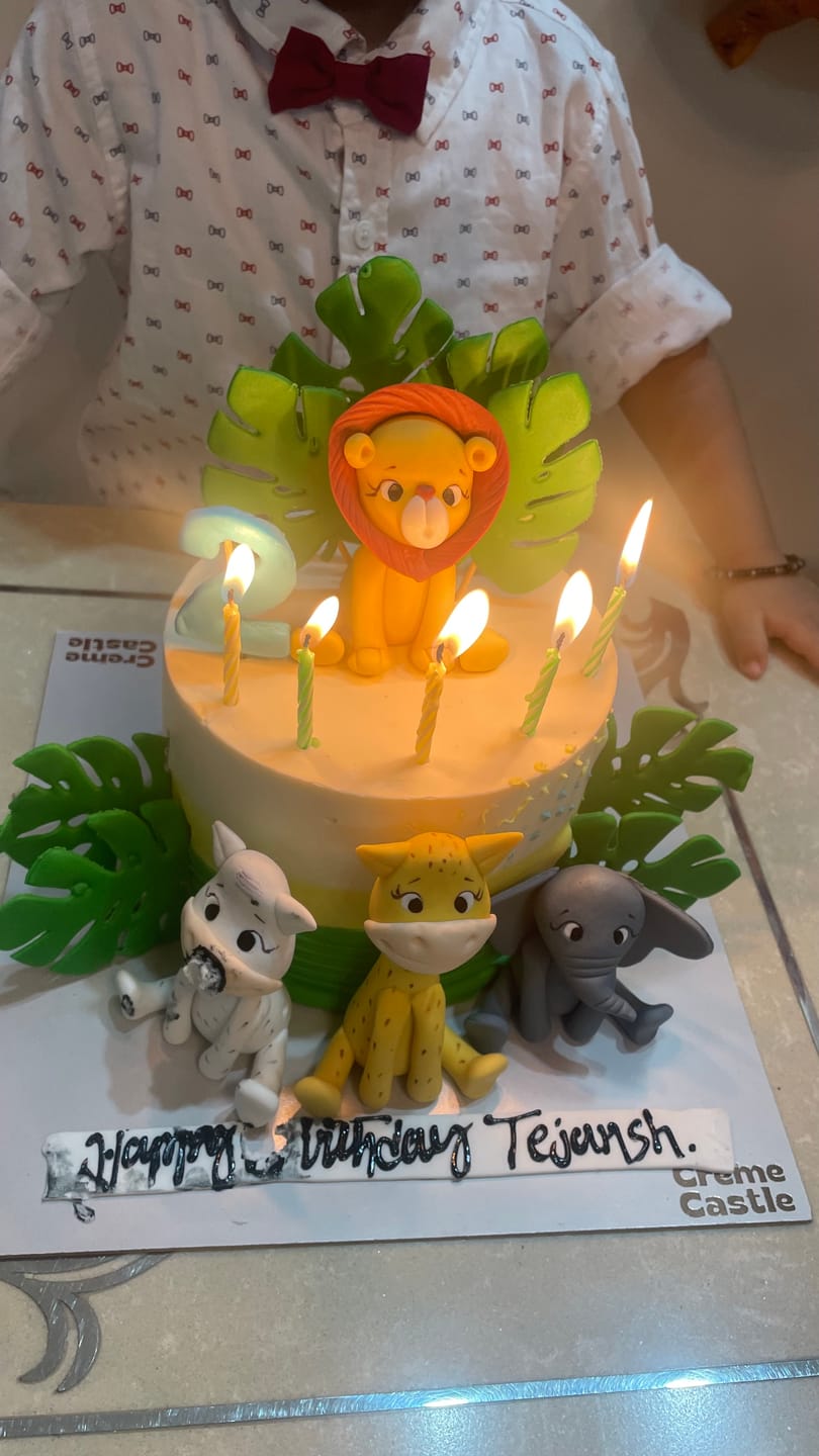 Customer photo review of Animal Party Birthday Cake