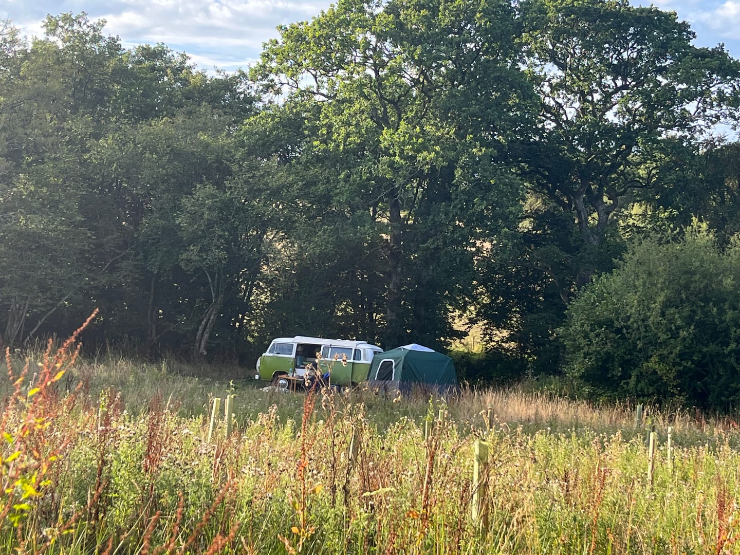 Customer photo review of 2-Step Cabin Tent