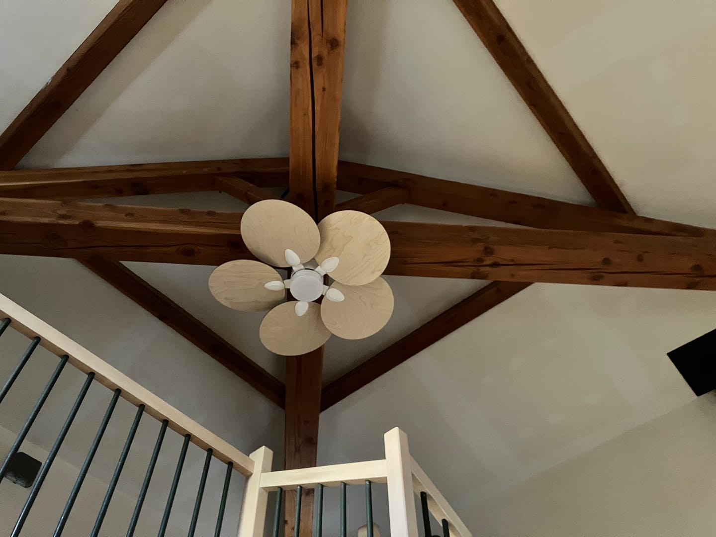Customer photo review of Lotus | Ventilateur de plafond