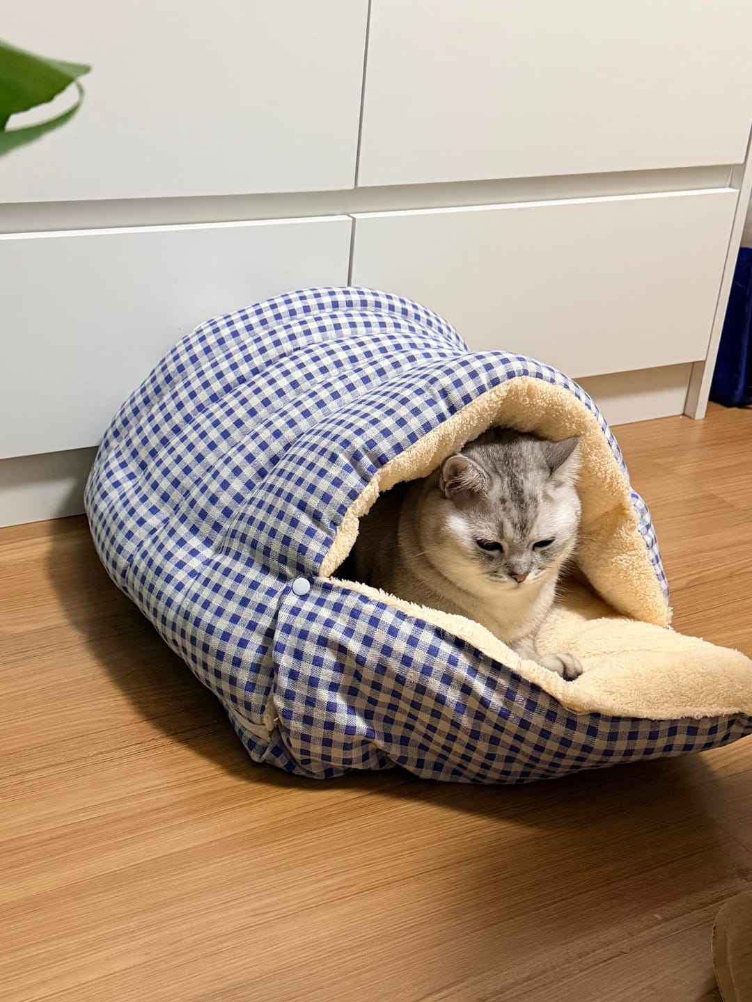 Customer photo review of Cozy Cave Pet Nest - A Snug, Washable Haven for Your Furry Friend