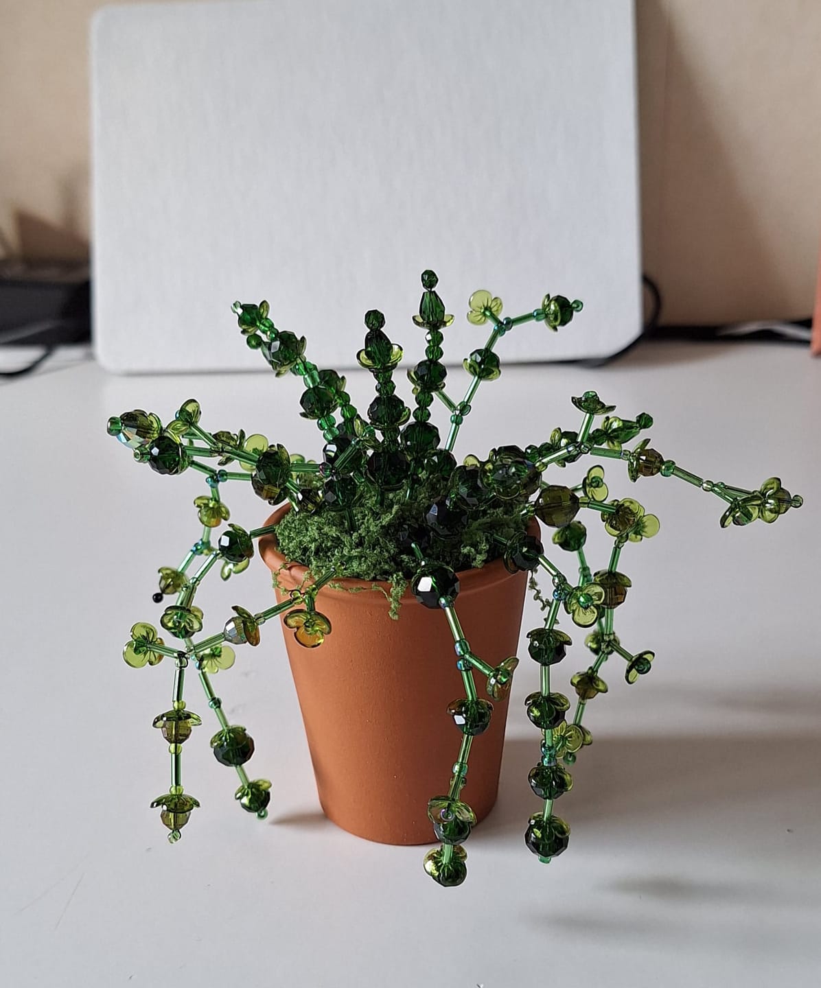 Customer photo review of Maak thuis je eigen kralenplant - Zwarte knoppen