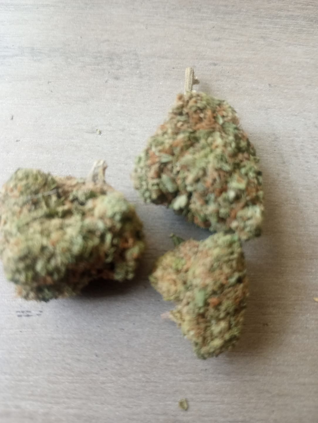 Customer photo review of Puffaroo - Toad Venom - 28 Grams - Indica