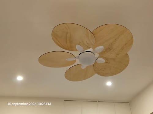 Reviewer's Lotus teinté Chêne fan installed on a white ceiling, showing the circular wooden blades.