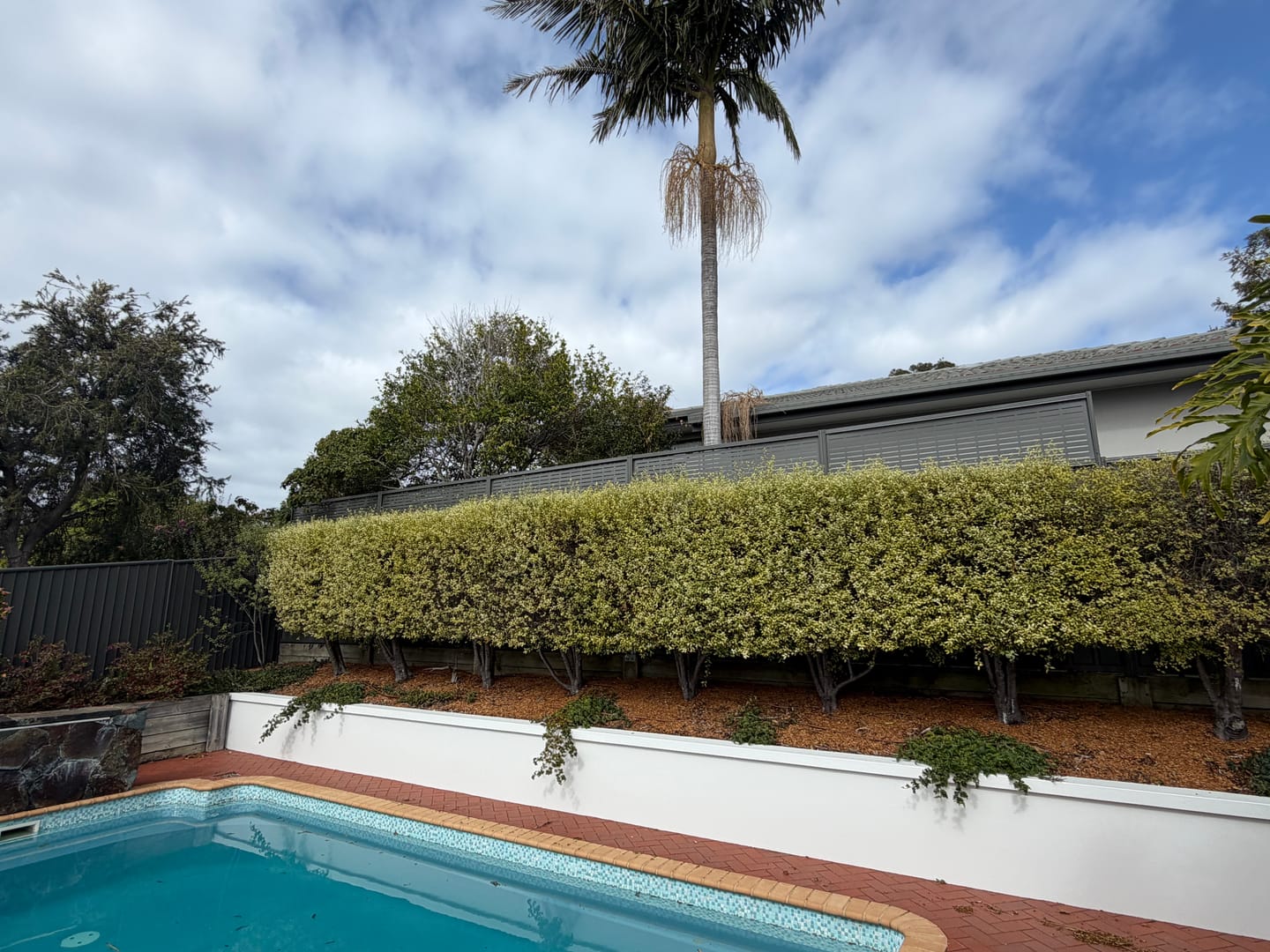 Customer photo review of Fence extensions for Colorbond fences (Standard Fence Extension Kit)
