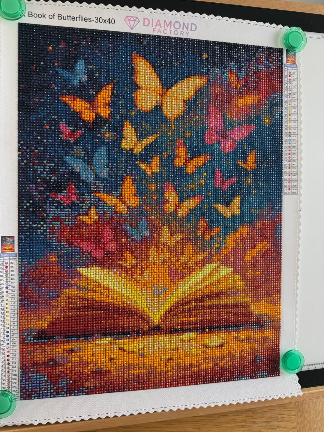 Customer photo review of Book of Butterflies