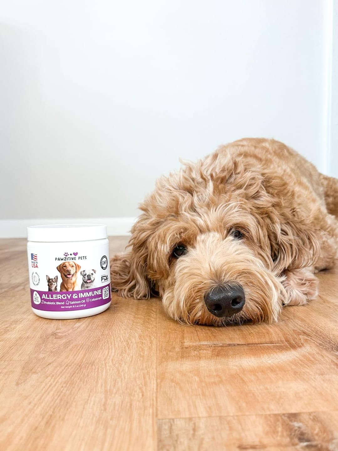 Customer photo review of Dog Allergy Chews for Itchy Skin, Paw Licking & Seasonal Allergies – Immune Support, 120 Soft Chews (Beef Flavor)