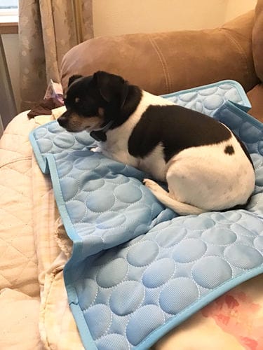 Customer photo review of Cooling Mat