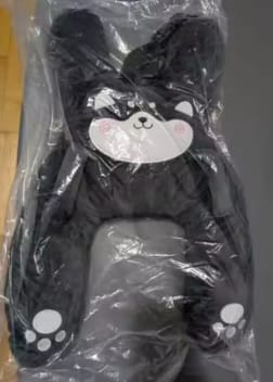 Customer photo review of PetitDodo™ Oreiller de voyage pour enfant