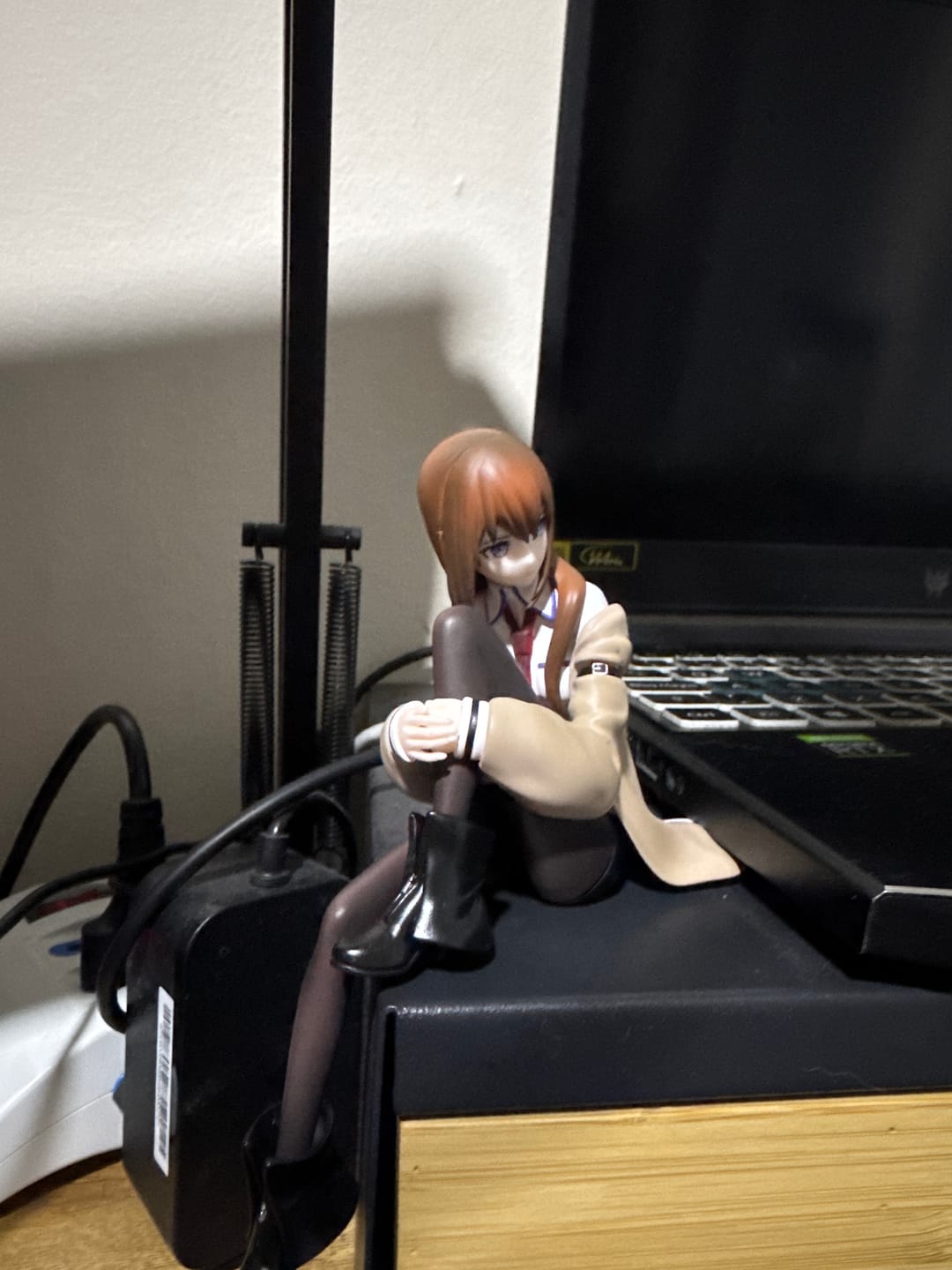 Customer photo review of Steins;Gate - Makise Kurisu - Noodle Stopper Figure (FuRyu)