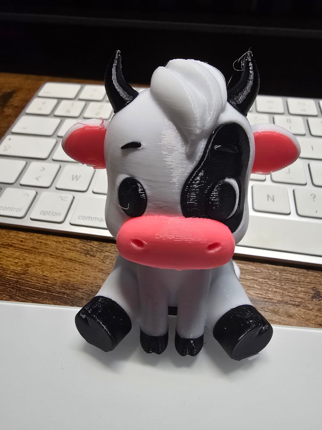 Customer photo review of PETG