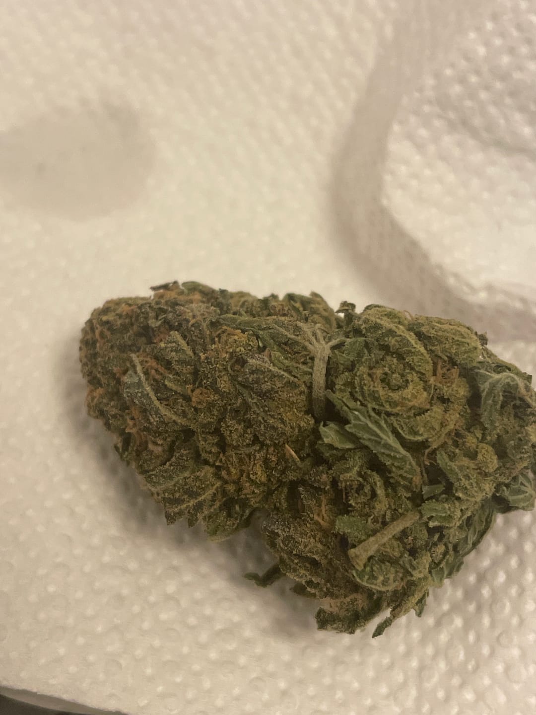 Customer photo review of Space Junkie