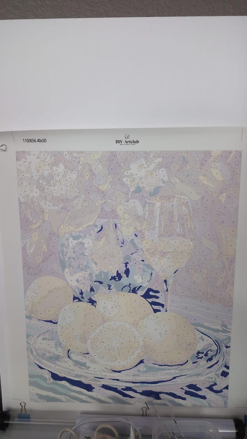 Customer photo review of Lemons and Wine | Paint by Numbers