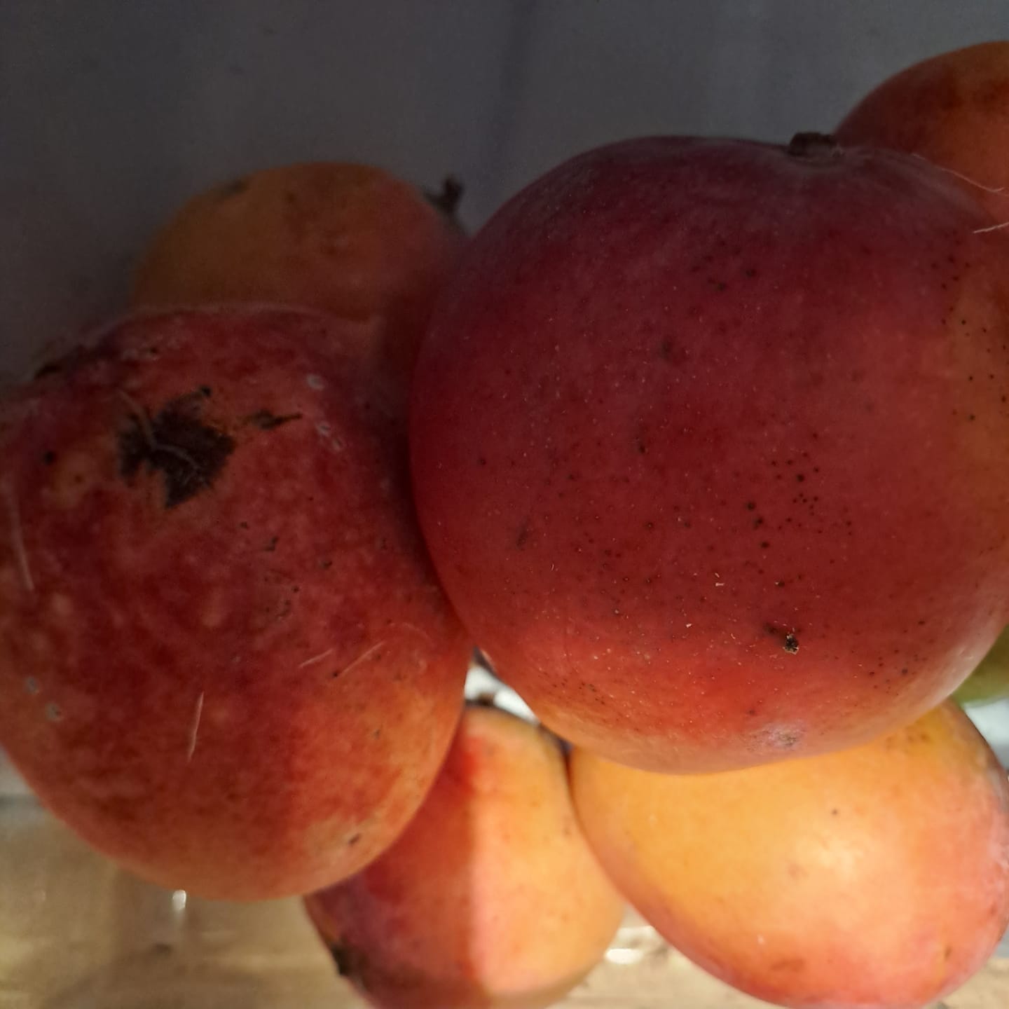 Customer photo review of Baby-Mango Irwin Bio von Julian