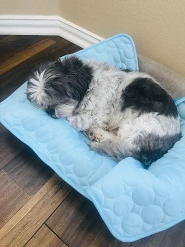 Customer photo review of Cooling Mat