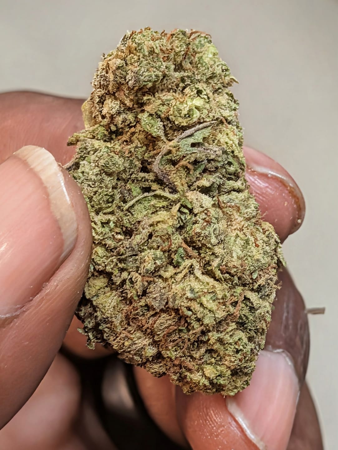 Customer photo review of Toadlato THCA Flower