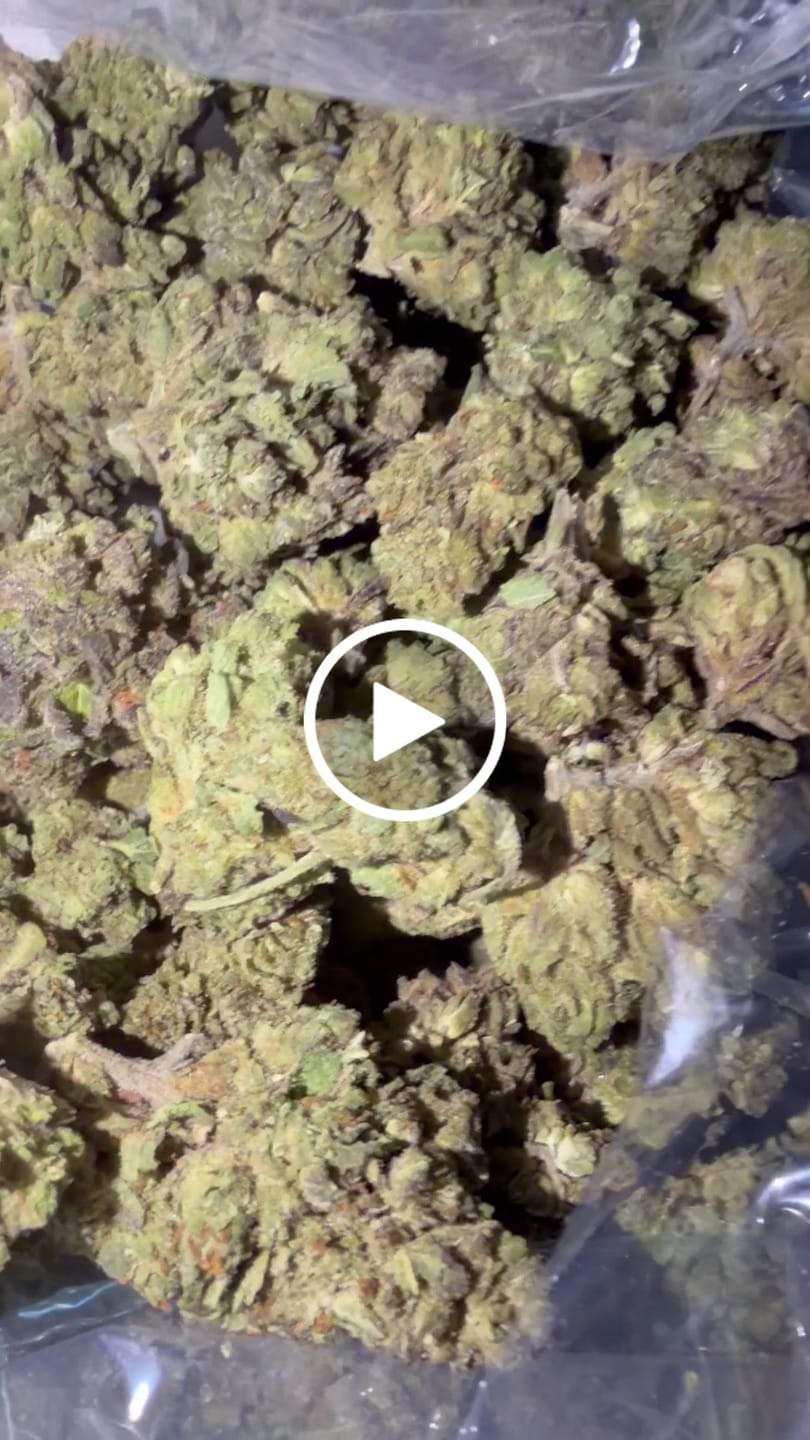 Customer video review of White Runtz - Bulk - Hybrid