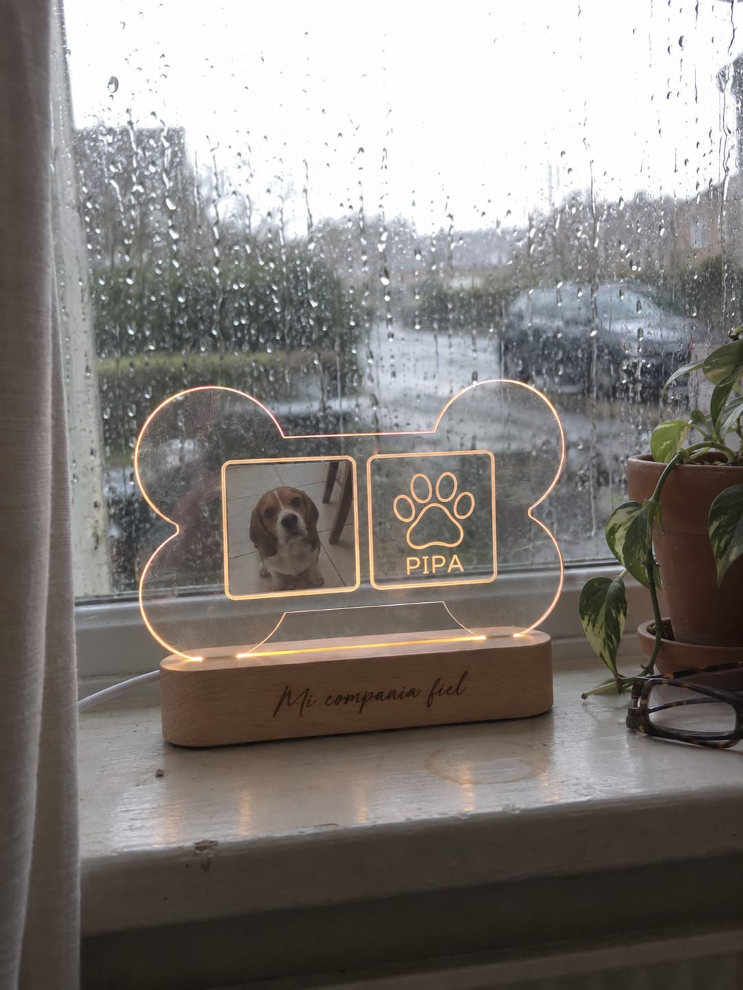 Customer photo review of Lámpara Memorial de Tu Perro