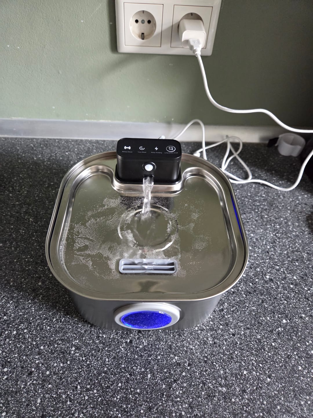 Customer photo review of PfotenBrunnen™ - Katzenwasserspender