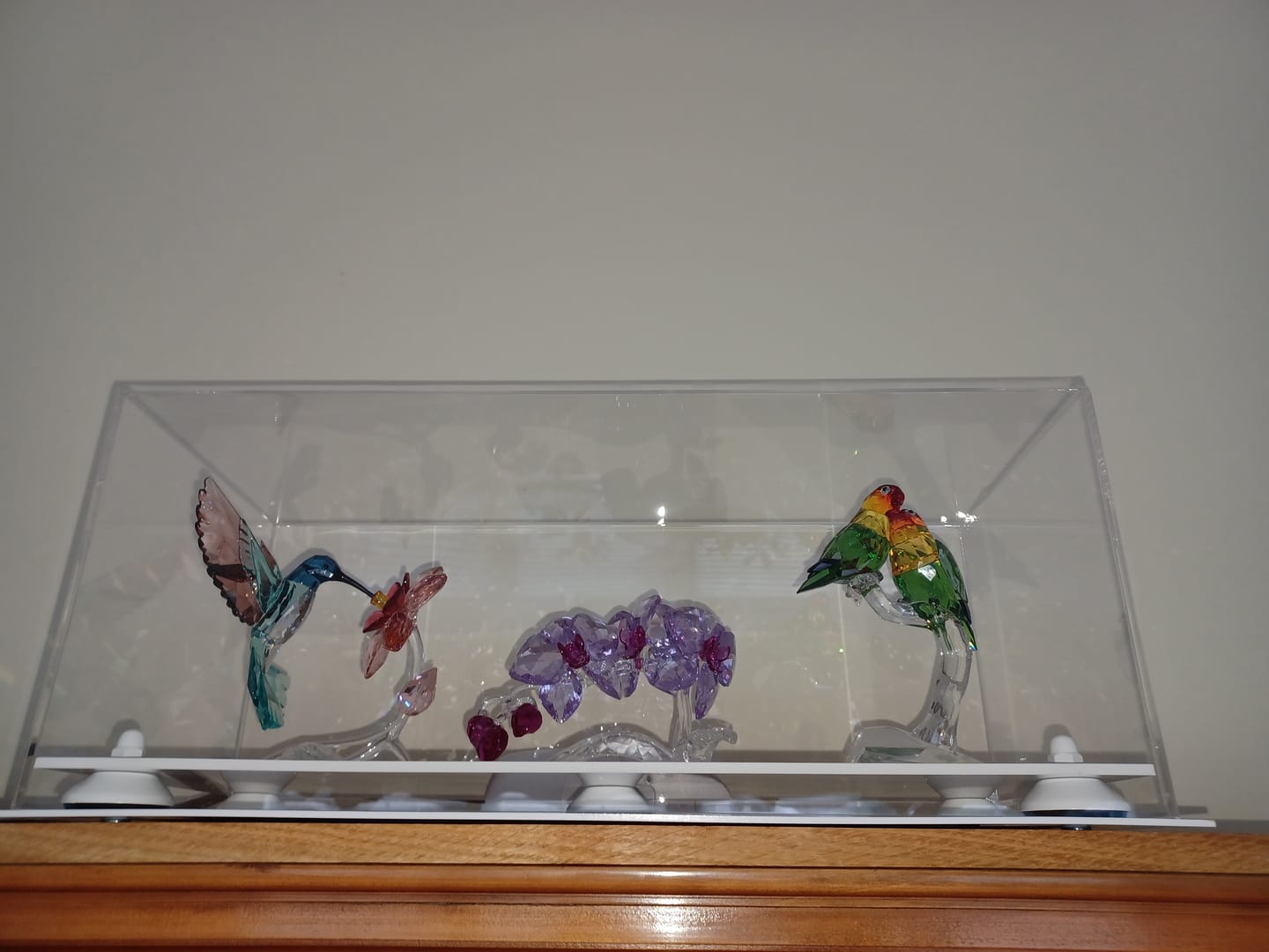 Customer photo review of Acrylic Versatile Trucks, Trains and Rockets Display Case 19.25 x 8.25 x 8 - Clear (A103/V47)