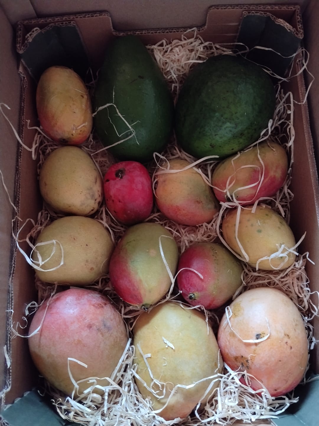 Customer photo review of Avocado & Tomaten Box