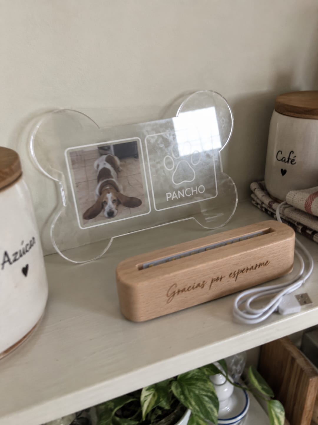 Customer photo review of Lámpara Memorial de Tu Perro