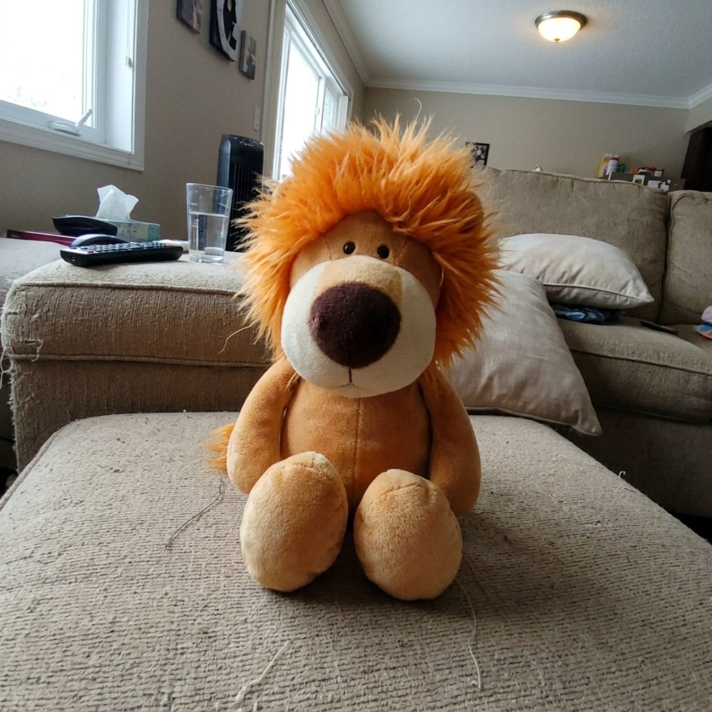 Customer photo review of Tier Kuscheltier Kollektion für Kinder | Weiches Plüschtier Stofftier ab 2 Jahre