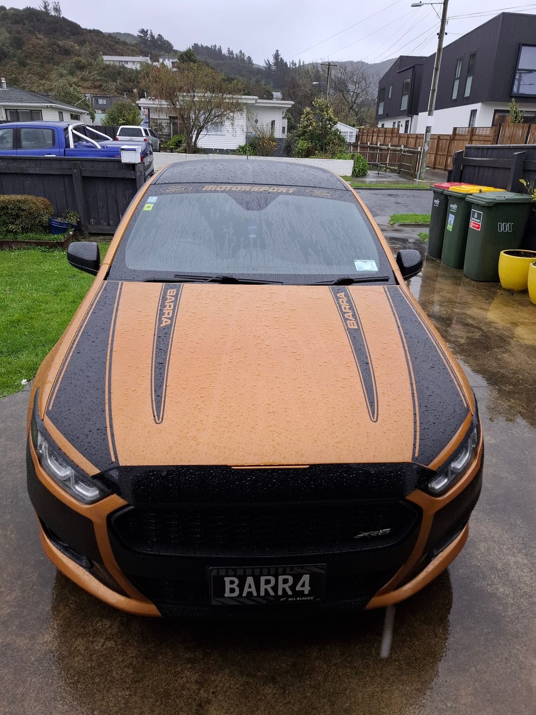 Customer photo review of Custom Window Banner Sticker