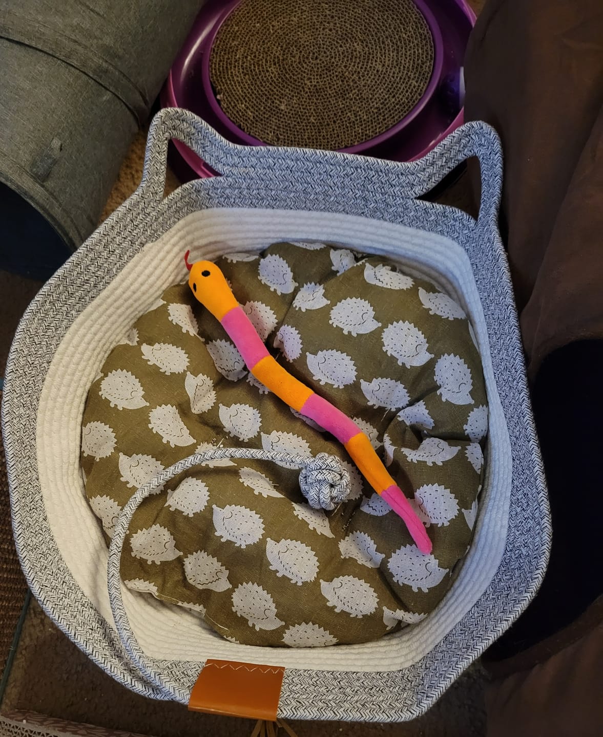 Customer photo review of Instinct Basket | Meet the first research-backed natural territory for indoor cats