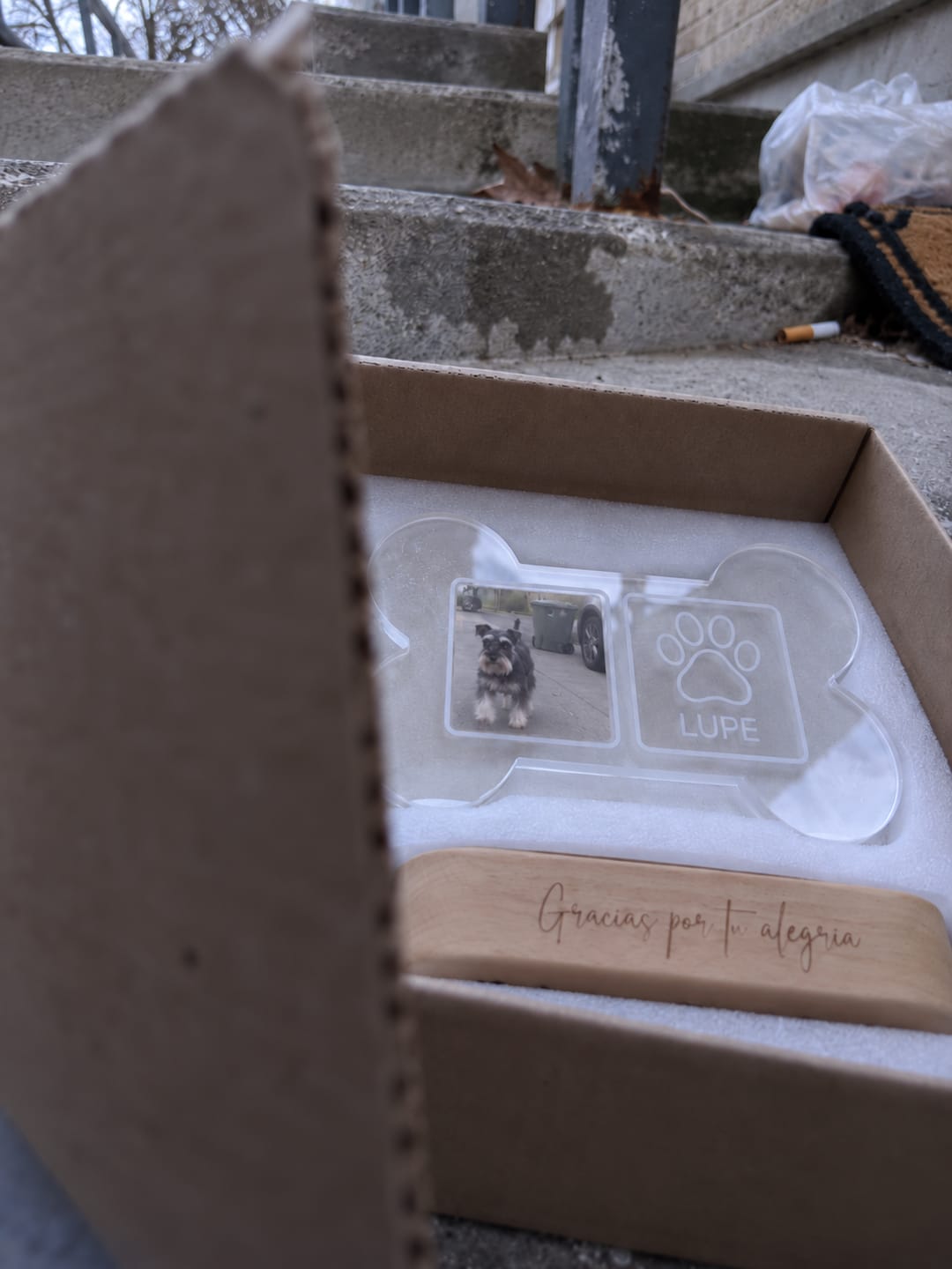 Customer photo review of Lámpara Memorial de Tu Perro