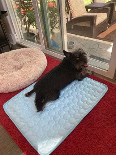 Customer photo review of Cooling Mat