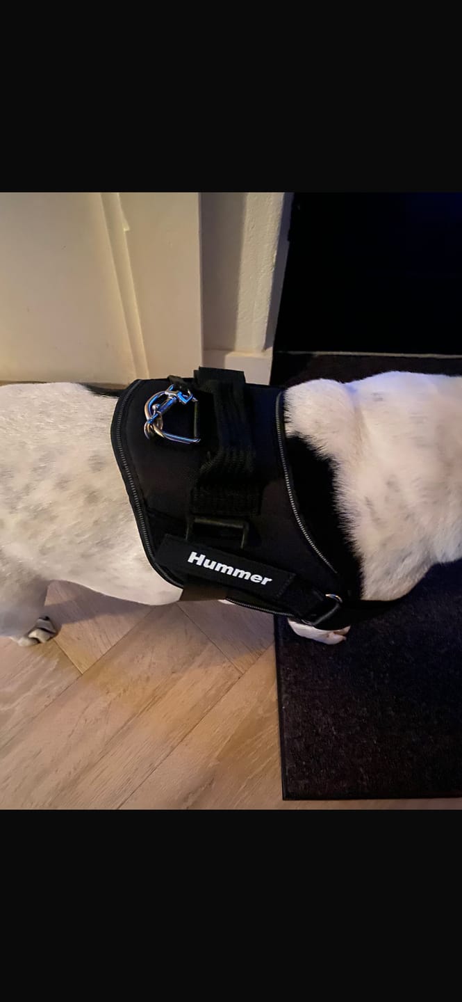 Customer photo review of PawGuard - Gepersonaliseerd Hondentuigje
