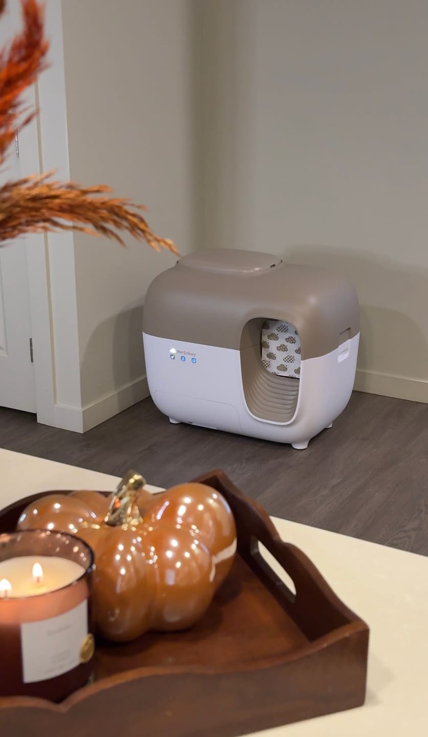 Customer photo review of Self-Cleaning Litter Box