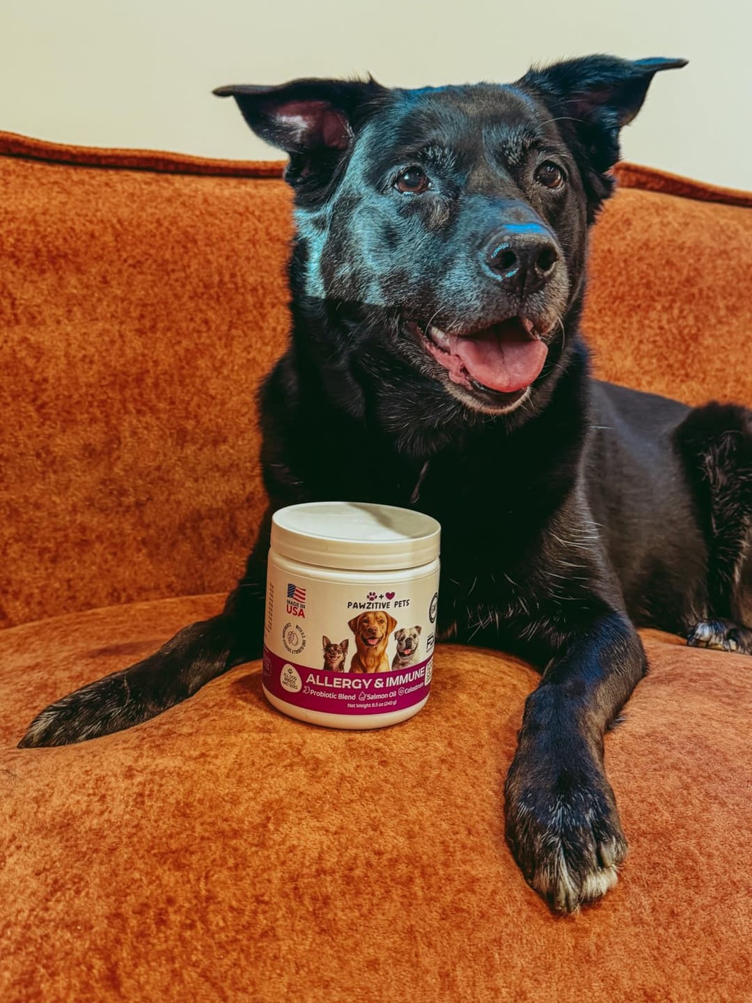 Customer photo review of Dog Allergy Chews for Itchy Skin, Paw Licking & Seasonal Allergies – Immune Support, 120 Soft Chews (Beef Flavor)