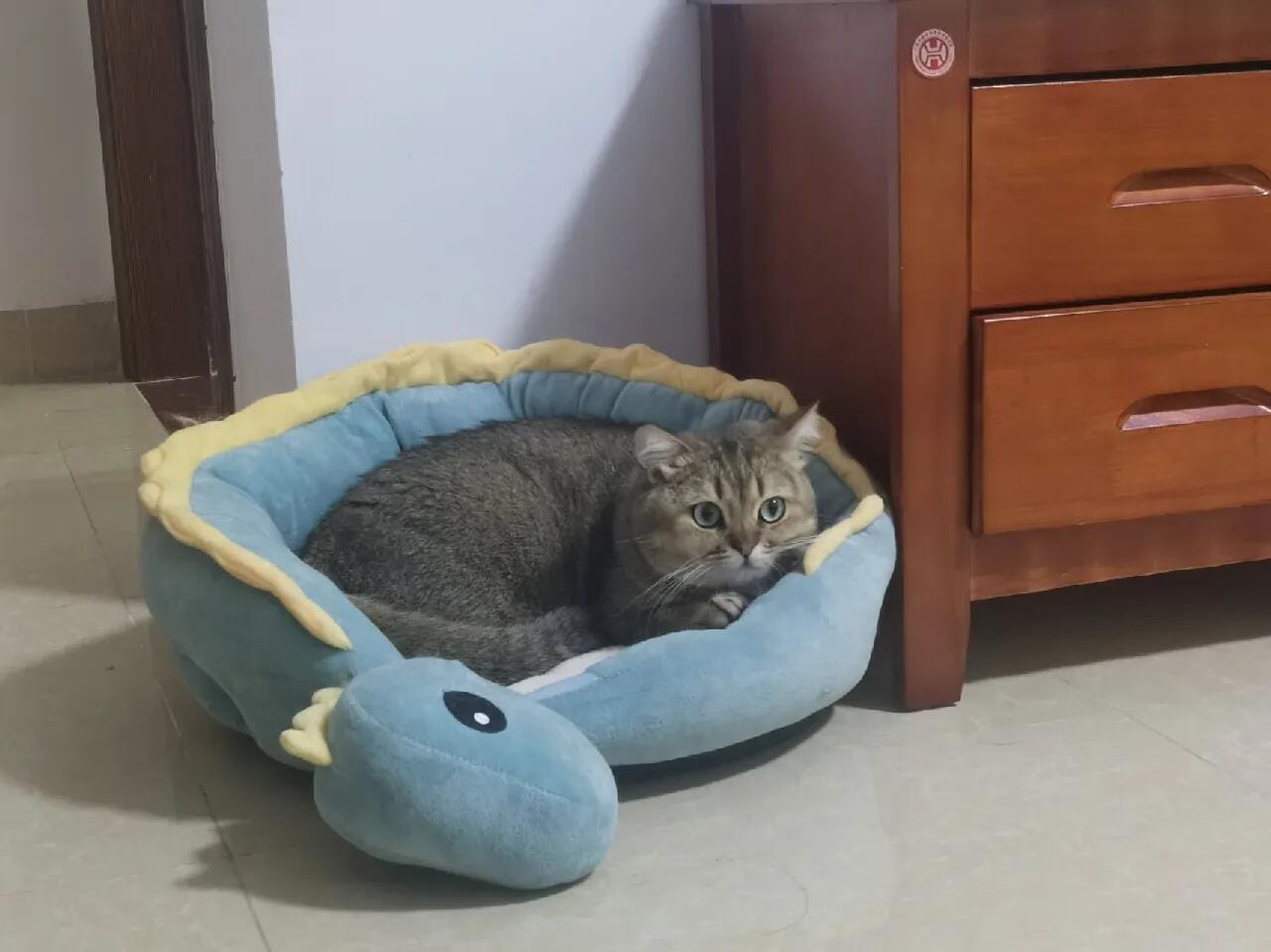 Customer photo review of Cozy Dinosaur Cat Bed 🦕