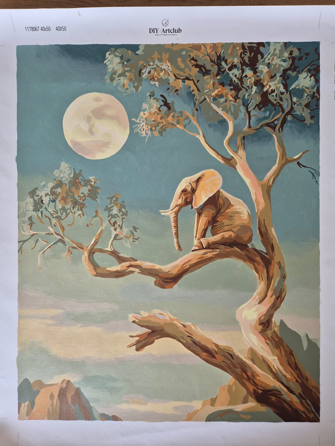 Customer photo review of Dreaming Elephant | Paint by Number