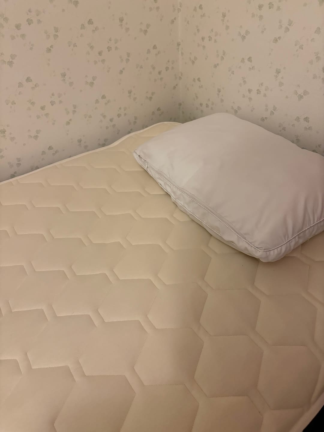 Customer photo review of SLEEP HEXAGON　ホルミシス敷パッド