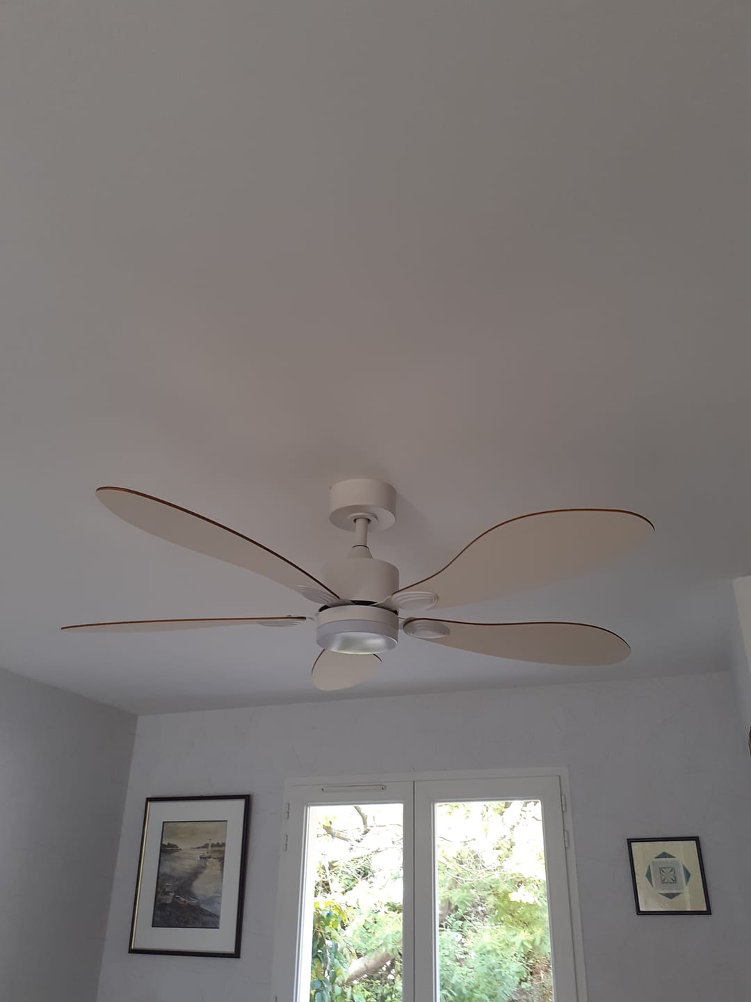 Customer photo review of Libellule | Ventilateur de plafond