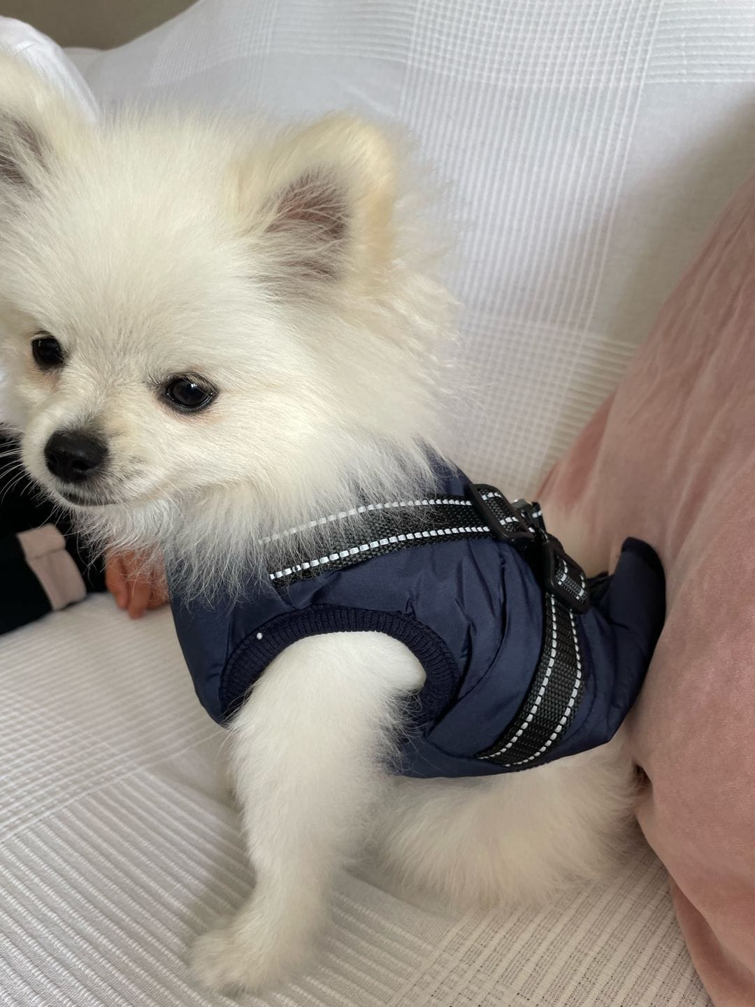 Customer photo review of Manteau 3-en-1 Vira™