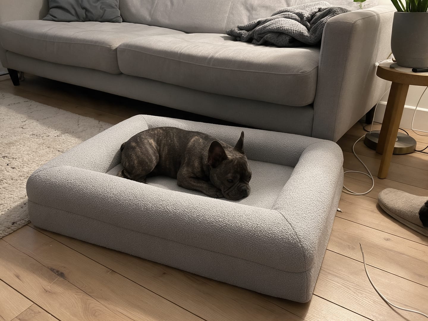 Customer photo review of Orthopedische Hondenbed - Floral Jacquard