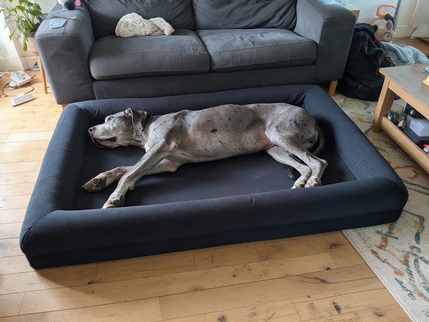 Customer photo review of Orthopedische Hondenbed - Floral Jacquard